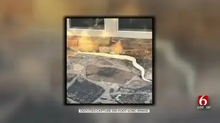 Surprise Encounter: Snake Found On Sand Springs Man's Front Porch