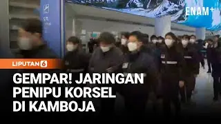 Skandal Scam Asia Tenggara, 73 WN Korea Selatan Diekstradisi | Liputan6