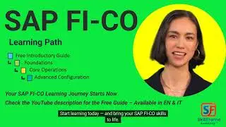 SAP FI-CO Introductory Guide | Learn the Basics of SAP Finance & Controlling (EN & IT)