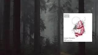 Y&ouml;urr - Distant Thoughts (Modeplex Remix)