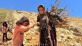 🌄 How Nomads Survive: 🔥 Finding Firewood in the Mountains 🏔️