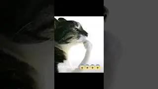try it guys