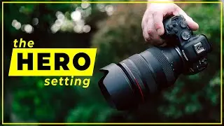 ISO — самая неправильно понимаемая настройка камеры.