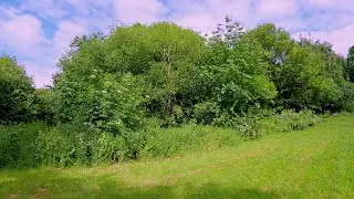 Spot the Robin - a slow walk in to find a robin waiting to be fed - UHD 4K