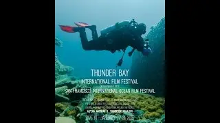 2016 Thunder Bay International Film Festival Trailer