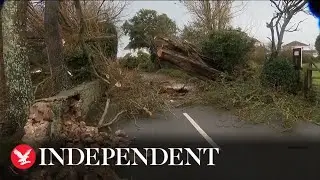 Homes left severely damaged as Storm Ciaran batters Jersey