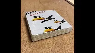 Beer Can Coasters
