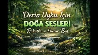 &ldquo;Derin Uyku İ&ccedil;in Doğa Sesleri | Rahatla ve Huzur Bul 🌿&rdquo;