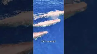 21 Seconds, Sleep Better Tonight / Unreal Ocean Beauty for Your Soul 💙 #shorts