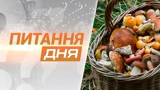 Перший Подільський