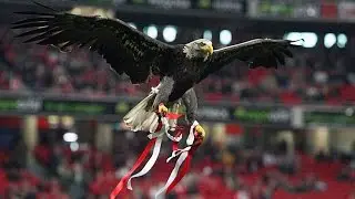 O v&ocirc;o da &aacute;guia - Benfica vs Sporting 0-3 (D&eacute;rbi) Jornada 8 -  25/10/2015