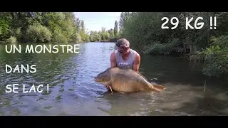 UN MONSTRE SE CACHAIT DANS SE LAC ! CARPE MIROIR DE 29KG ! PECHE EN LAC ET EN FAMILLE !