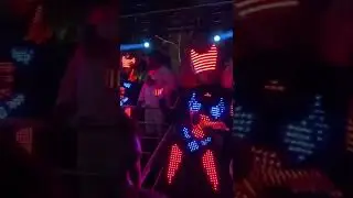 LED cats freestyle @namascray experience goa