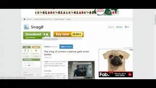Descargar snagit