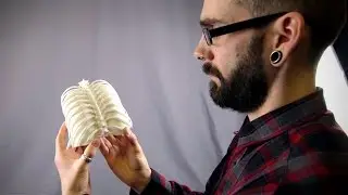3D printing Caroline | Wellcome Image Awards