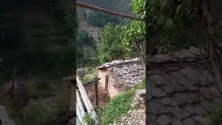 गांव ग्वारी मल्ली चोपड़ा कोट उत्तराखंड पौड़ी गढ़वाल #uttrakhand #garhwal