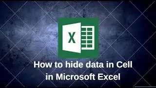 How to hide data in Cell in Microsoft Excel