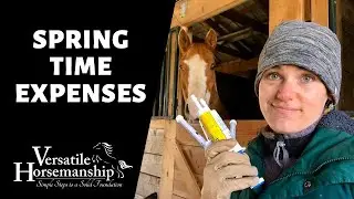 🔴 SPRING TIME EXPENSES (live-stream) // Versatile Horsemanship
