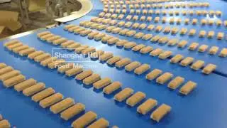 Full Automatic Layer Cake/Swiss Roll Production Line Running in HG india customer小瑞士卷 印度