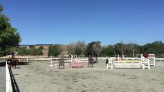 Jumping Roy