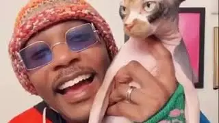 IAmMoshow The Cat Rapper - How Much Time Do You Spend With Your Cat?
