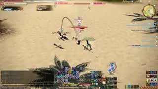 FFXIV - Battlecraft Leve: Birds of a Feather (Eastern La Noscea)