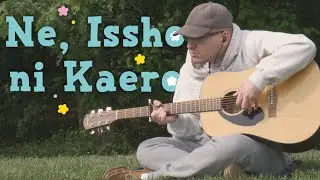 Ne, Issho ni Kaero - Hitoribocchi no Marumaruseikatsu ED - Fingerstyle Guitar Cover