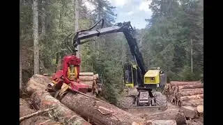 TimberPro / Woody WH70-1