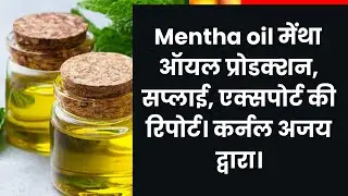 Mentha oil मेंथा ऑयल प्रोडक्शन, सप्लाई, एक्सपोर्ट की रिपोर्ट। कर्नल अजय द्वारा।