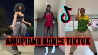 PALMOPIANO New Dance Moves | Amapiano Vibes – January 2026 🩷