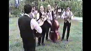 RTS SESIR MOJ Orkestar - ZUTE DUNJE.mp4