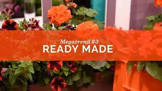 IPM 2020 - #3 Ready Made