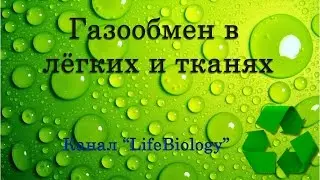 Газообмен в лёгких и тканях