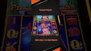 $50 FREE Play! SEE What Happened! #foryou #fyp #viral #shorts #viralvideo #youtubeshorts #gambling