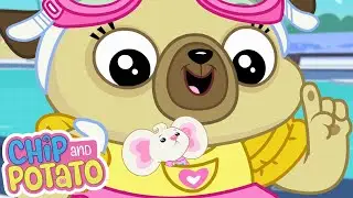 Chip and Potato | Chips lección de natación espectacular | Dibujos animados para | Mira más Netflix