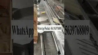 Corn Length Selecting Sorting Machine Maize Length Grading classify machine According length
