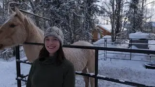 Cabin Builds, Pack Horses & Bush Birthdays | Remote Alaska