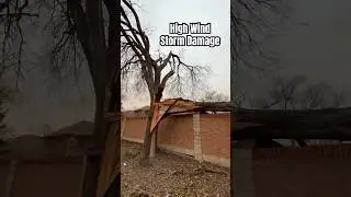 Massive Tree Splits in Storm! Emergency Tree Removal to Prevent More Damage! #treework #stormdamage