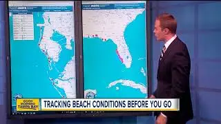 Check Florida beach conditions before you go