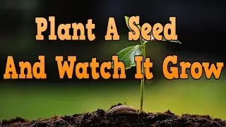 ED Lapiz Preaching - ''Plant A Seed And Watch It Grow''