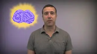 Principles of fMRI Part 1, Module 19: Model Building III- nuisance variables