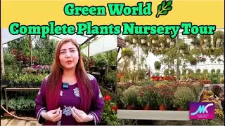 Best Plants Nursery | Indoor & Outdoor Plants Collection  | Maria Khan Official