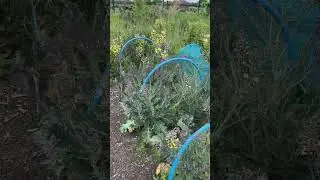 Plot tour at the end of May