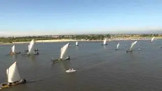 REGATA DE MOLICEIROS DA SEMANA DO EMIGRANTE DA MURTOSA 2015