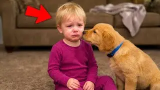 Der Hund stie&szlig; das Baby immer wieder weg. Was der Tierarzt fand, lie&szlig; die Eltern weinen!!