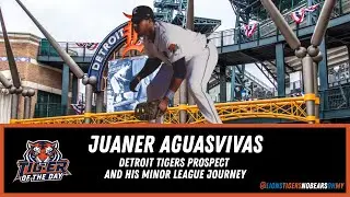 Juaner Aguasvivas: Detroit Tigers Prospect and His Minor League Journey