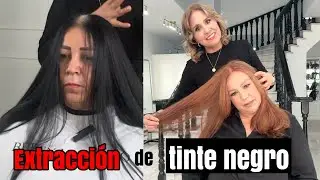 Cómo lograr una extracción de negro sin daño @bettylazcano te lo muestra en vivo