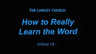 How to Really Learn the Word