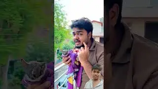 cute cat Itni Pyari Billi #funny #comedy #cute #vlog #minivlog #ytshorts #youtubeshorts #cutecat#cat