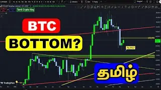 Bitcoin Bottom Signal? || Key Patterns & Predictions || Tamil